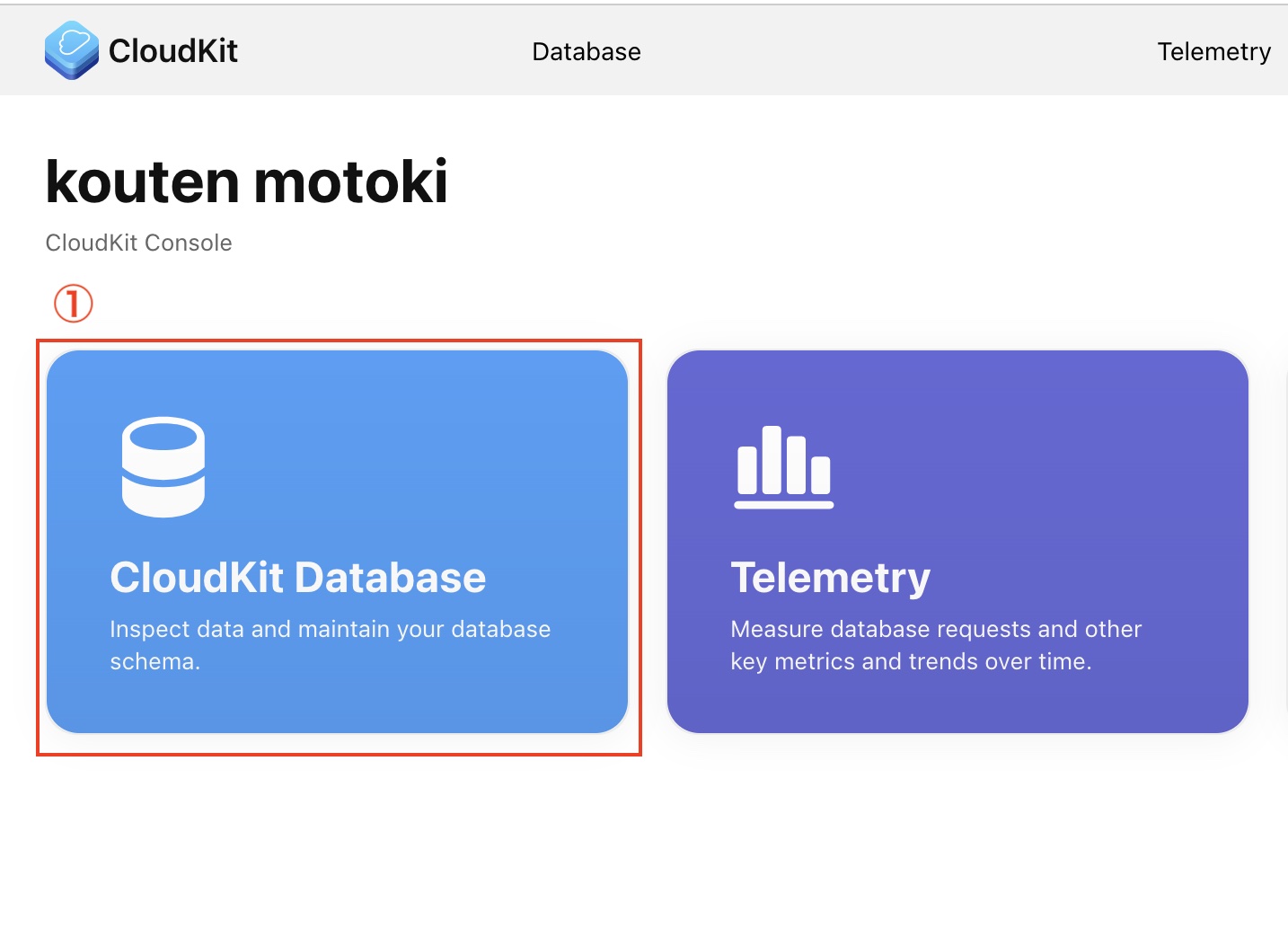 CloudKit Databaseを開く