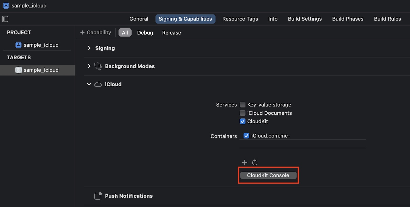 iCloudKit Console