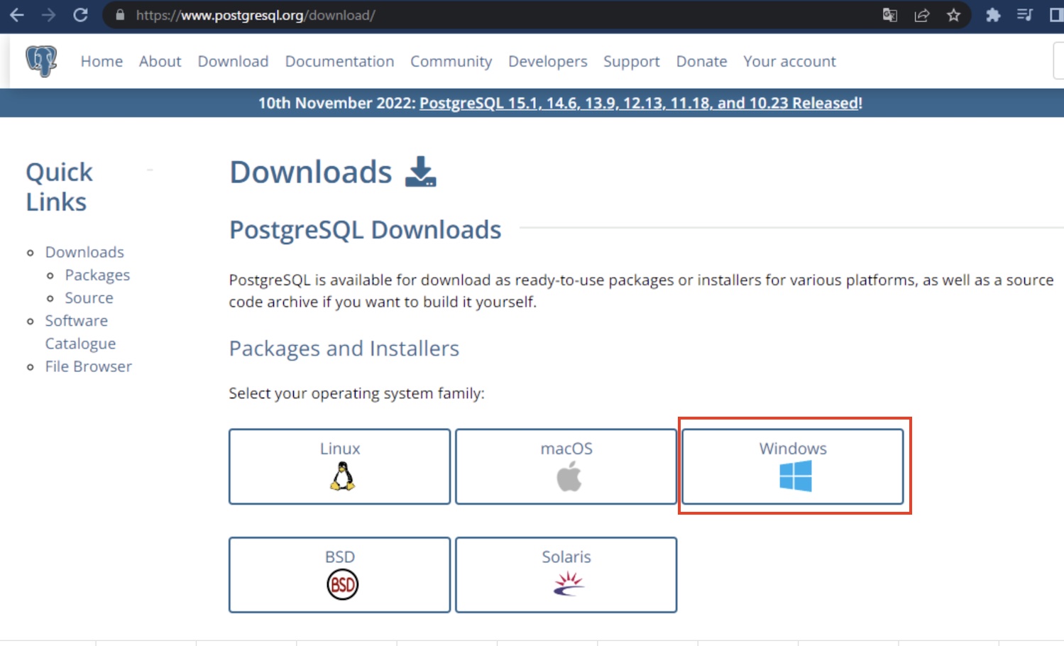 PostgreSQLのインストーラーのOS選択画面