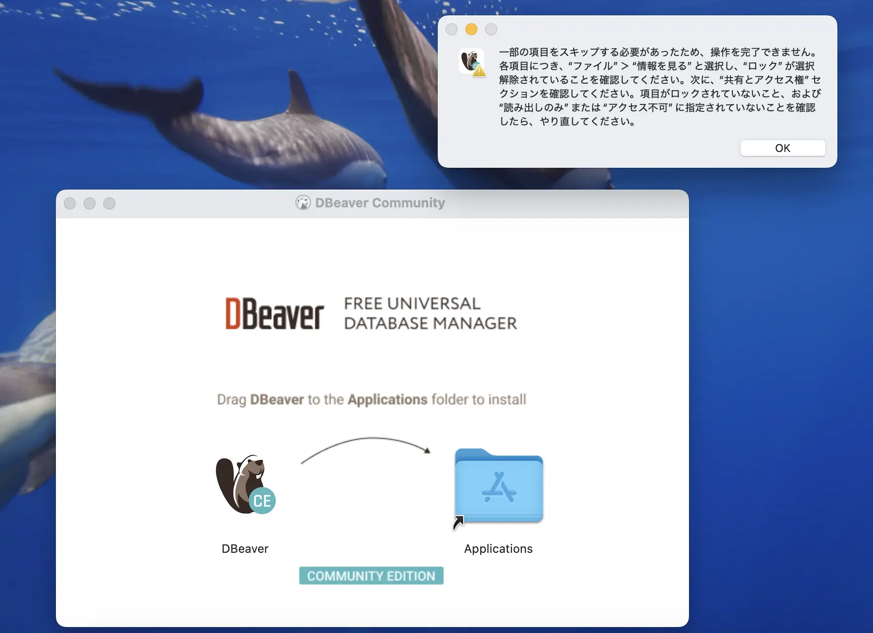 DBeaverのアップデート時に、一部の項目をスキップする必要があったため、操作を完了できません。各項目につき、“ファイル”＞“情報を見る”と選択し、“ロック”が選択解除されていることを確認してください。次に、“共有とアクセス権”セクションを確認してください。項目がロックされていないこと、および“読み出しのみ”または“アクセス不可”に指定されていないことを確認したら、やり直してください。というエラーが表示された画像
