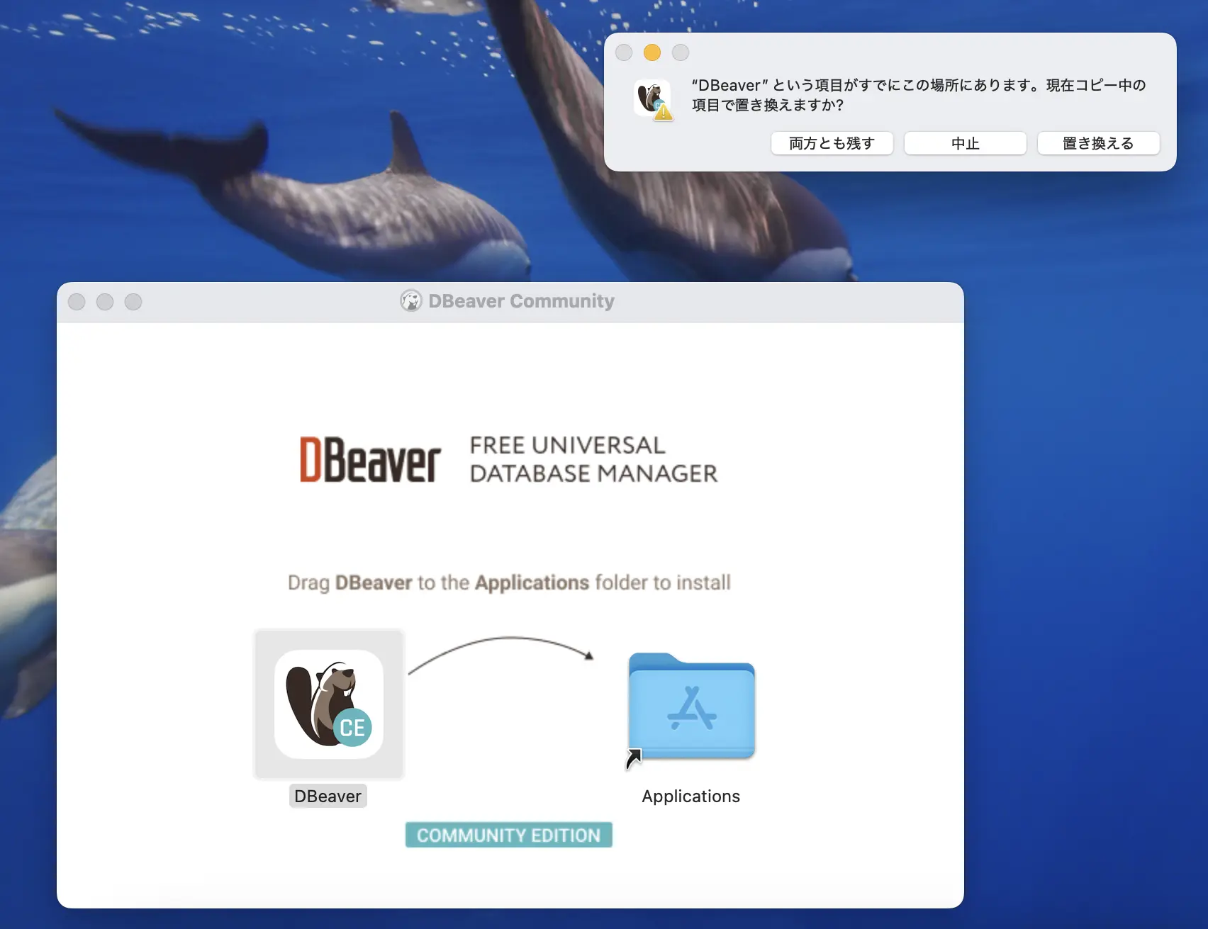 DBeaverのアップデート時に、置き換えるを選択する画像